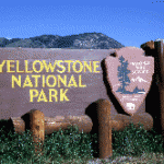 Yellowstone’s Lamar Valley Road Open for Holiday