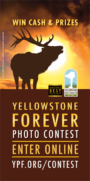 Yellowstone by David Quammen