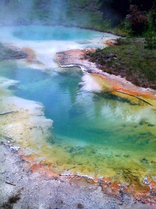 Black Pool - West Thumb Geyser Basin