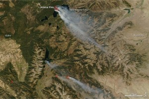 Yellowstone Arnica Fire