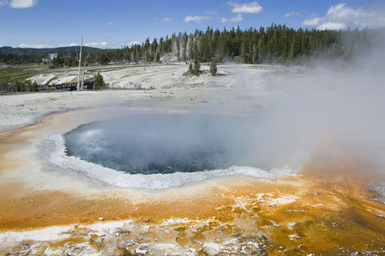 Yellowstone thermal basin