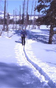 Cross-Country Skier
