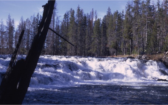 Bechler Falls