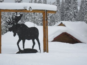 Big Moose Resort
