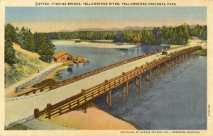 Fishing Bridge Postcard from Yellowstone