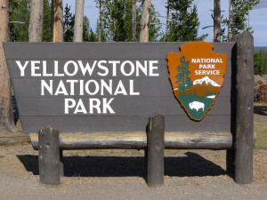 Yellowstone National Park South Entrance, Yellowstone visitation