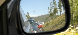 Cars in Yellowstone