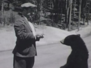 Yellowstone 1920s movies