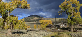 Buffalo Ranch in Lamar Valley
