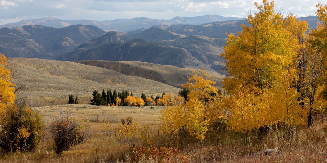 How To Enjoy A Yellowstone Labor Day Weekend Yellowstone Insider