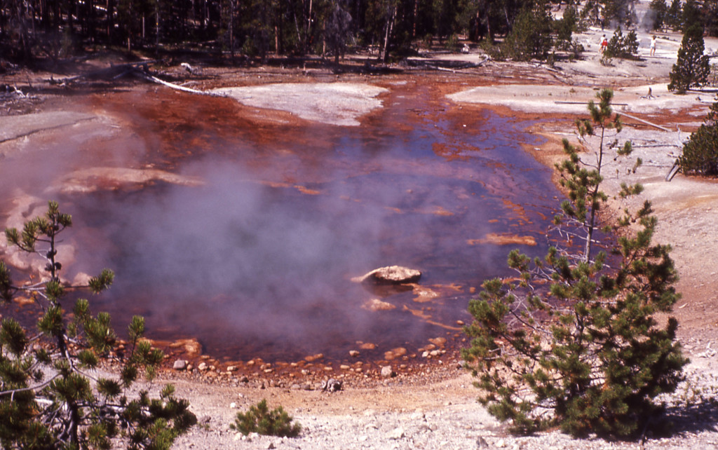 echinus geyser 1963