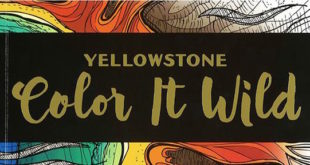 Yellowstone: Color It Wild