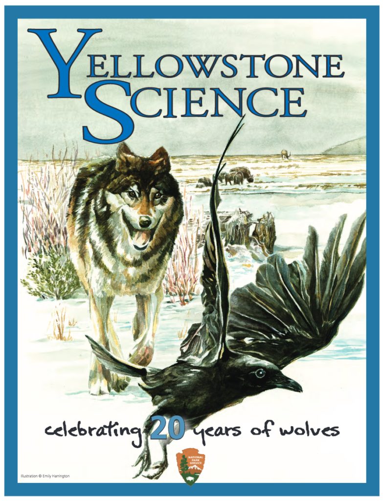 Yellowstone Science Wolf Issue Cover