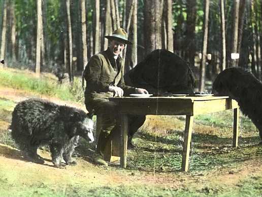 superintenden horace albright with bears 1922 taken by george a grant
