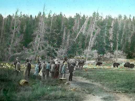 tourists 1890s watching bears feed colored lantern slide frank jay haynes