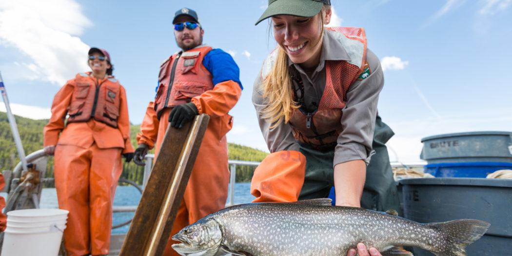 Yellowstone Fishery Crews Prepare For Busy Season of Lake Trout Removal
