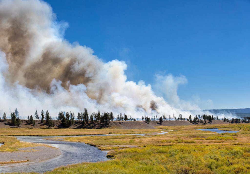 Fire Danger Ranked Very High in Yellowstone National Park Yellowstone