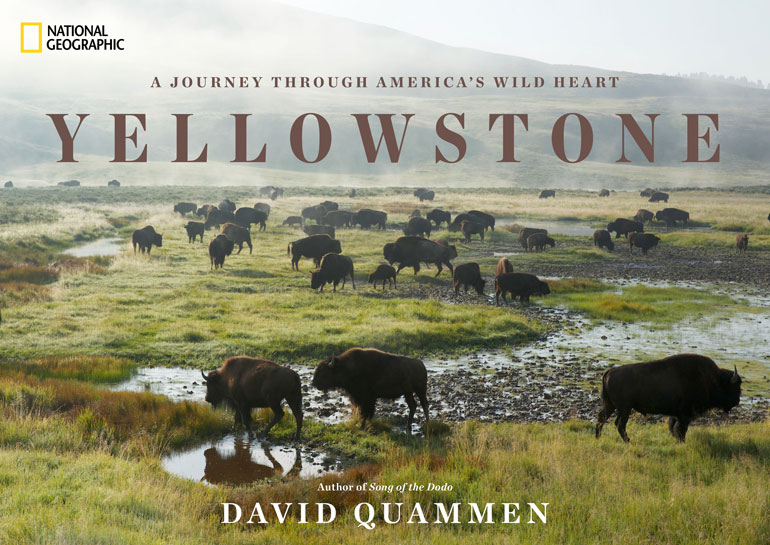 yellowstone_cover