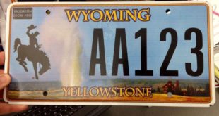 Yellowstone license plate