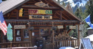 Stop the Car Trading Post