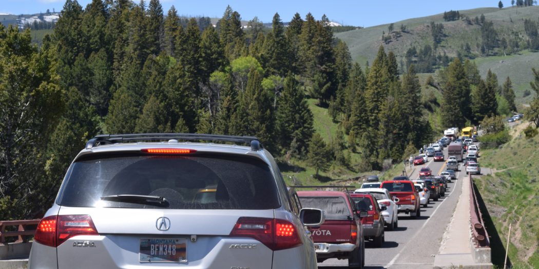 Hustle and Bustle in Yellowstone on Memorial Day Yellowstone Insider