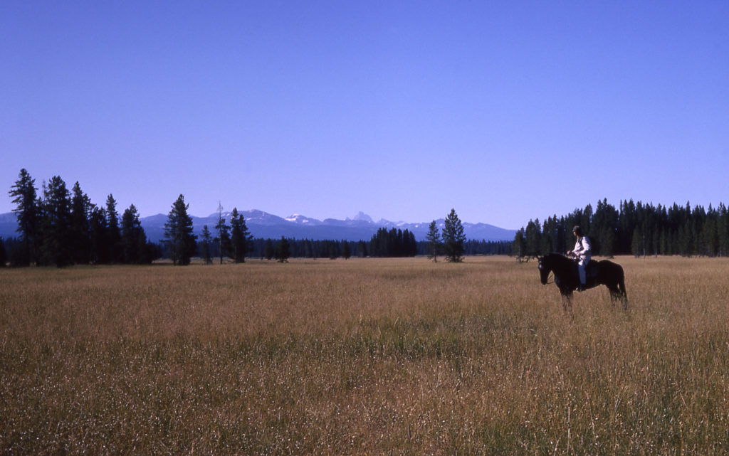 bechler meadow yellowstone rg johnsson 1964