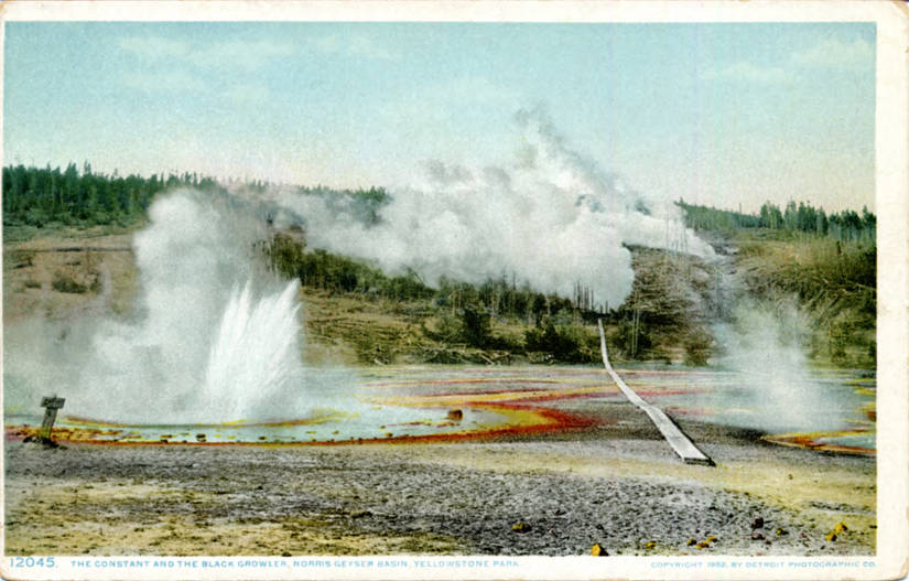 Yellowstone_National_Park_WY__The_Constant_and_the_Black_Growler_Norris_Geyser_Basin__detroit photographic co 1902 postcard