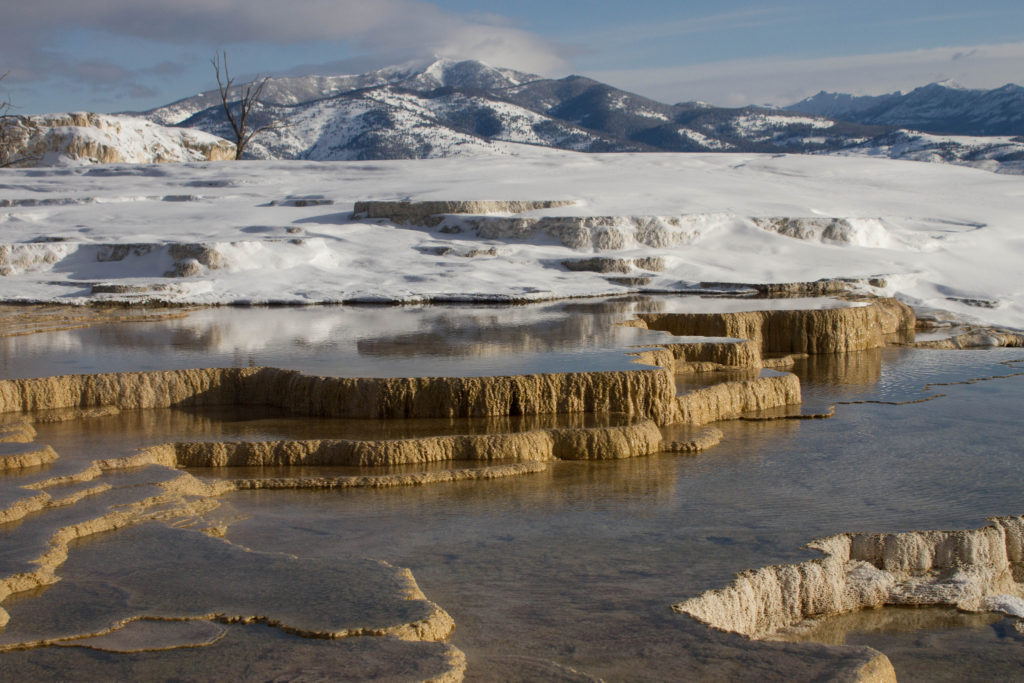 A Look at Spring Conditions in Yellowstone National Park - Yellowstone ...