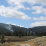 Bacon Rind Fire Late August