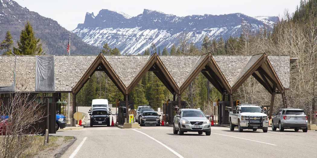 What can you expect now that Yellowstone is open? Yellowstone Insider