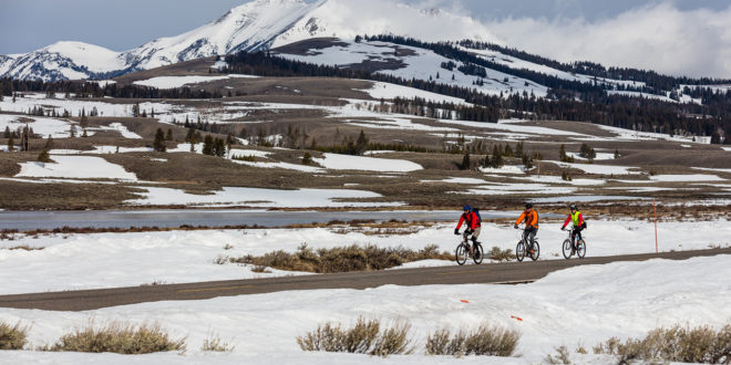 spring biking in Yellowstone