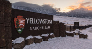 Yellowstone winter season