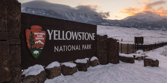 Yellowstone winter season